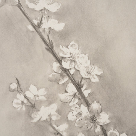 Cherry Blossom Sketch II by Mercana Studio a Hand Embellished Framed Art Print from Mercana - Luna Furniture