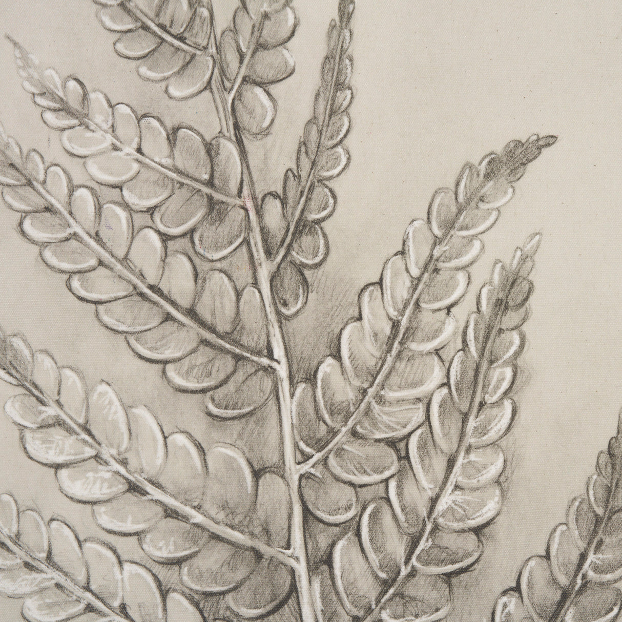 Fern Study I (Osmundastrum Cinnamomeum) from Mercana - Luna Furniture