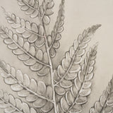 Fern Study I (Osmundastrum Cinnamomeum) from Mercana - Luna Furniture