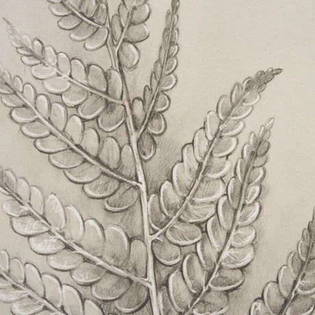 Fern Study I (Osmundastrum Cinnamomeum) from Mercana - Luna Furniture