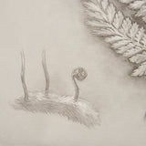 Fern Study II (Davallia Fejeensis) by Mercana Studio a Hand Embellished Framed Art Print from Mercana - Luna Furniture