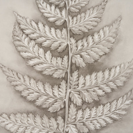 Fern Study II (Davallia Fejeensis) by Mercana Studio a Hand Embellished Framed Art Print from Mercana - Luna Furniture