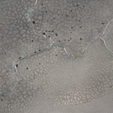 Igneous by Studio M a handmade Original Framed Artwork under Glass from Mercana - Luna Furniture