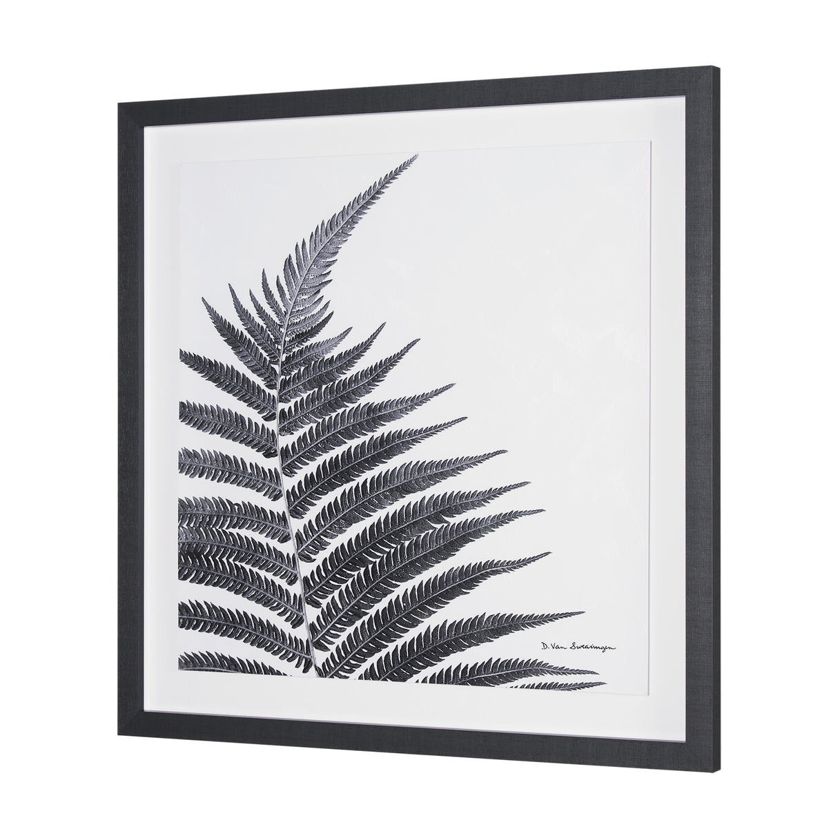 Truth by Debra Van Swearingen a Hand Embellished Framed Photo Art Print Matted under Glass from Mercana - Luna Furniture