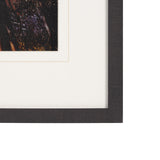 Leafy Shelter by Bobbie Goodrich a Hand Embellished Framed Photo Art Print Matted under Glass from Mercana - Luna Furniture