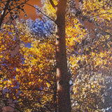 Leafy Shelter by Bobbie Goodrich a Hand Embellished Framed Photo Art Print Matted under Glass from Mercana - Luna Furniture