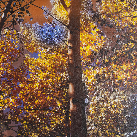 Leafy Shelter by Bobbie Goodrich a Hand Embellished Framed Photo Art Print Matted under Glass from Mercana - Luna Furniture