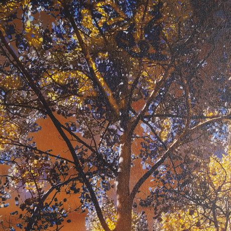 Leafy Shelter by Bobbie Goodrich a Hand Embellished Framed Photo Art Print Matted under Glass from Mercana - Luna Furniture