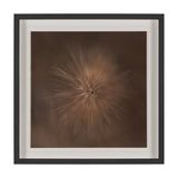 Curious by Stig Kalvelid a Hand Embellished Framed Photo Art Print Matted under Glass from Mercana - Luna Furniture