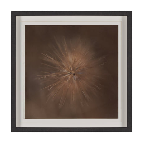 Curious by Stig Kalvelid a Hand Embellished Framed Photo Art Print Matted under Glass from Mercana - Luna Furniture