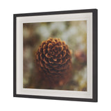 Down to Earth by Stig Kalvelid a Hand Embellished Framed Photo Art Print Matted under Glass from Mercana - Luna Furniture