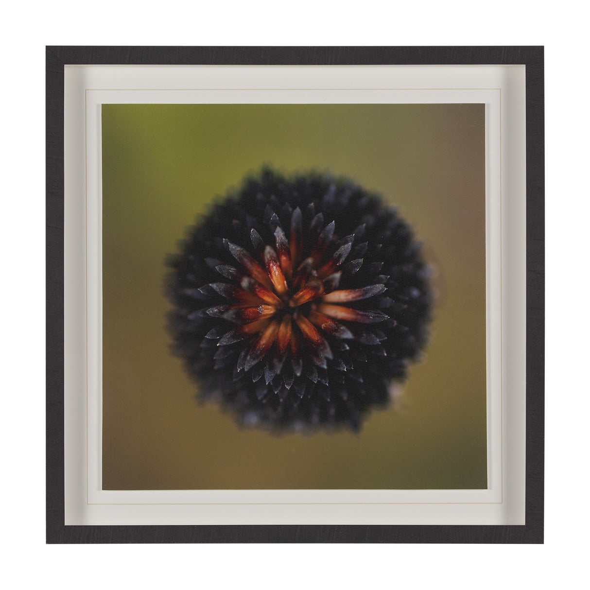 Glowing by Stig Kalvelid a Hand Embellished Framed Photo Art Print Matted under Glass from Mercana - Luna Furniture