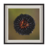Glowing by Stig Kalvelid a Hand Embellished Framed Photo Art Print Matted under Glass from Mercana - Luna Furniture