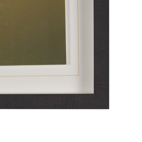 Glowing by Stig Kalvelid a Hand Embellished Framed Photo Art Print Matted under Glass from Mercana - Luna Furniture