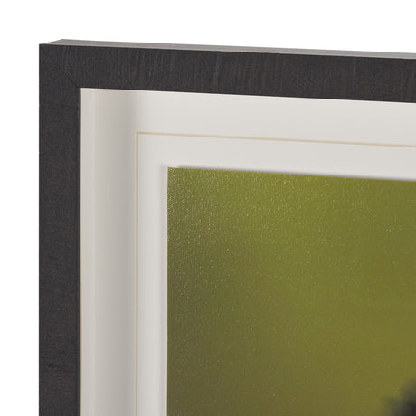 Glowing by Stig Kalvelid a Hand Embellished Framed Photo Art Print Matted under Glass from Mercana - Luna Furniture