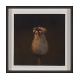 Collecting by Stig Kalvelid a Hand Embellished Framed Photo Art Print Matted under Glass from Mercana - Luna Furniture