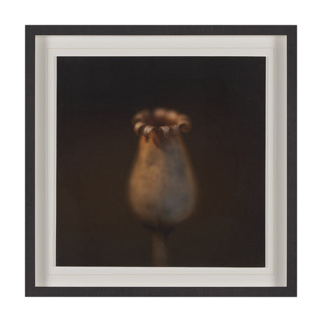Collecting by Stig Kalvelid a Hand Embellished Framed Photo Art Print Matted under Glass from Mercana - Luna Furniture