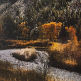Summit Trail by Bobbie Goodrich a Hand Embellished Framed Photo Art Print Matted under Glass from Mercana - Luna Furniture