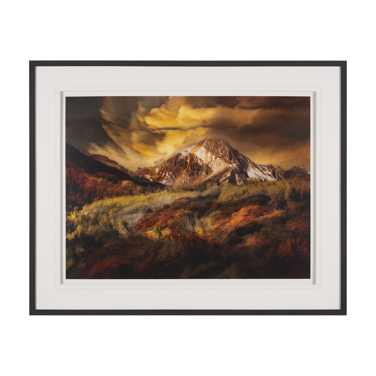 Peak Pursuit by Bobbie Goodrich a Hand Embellished Framed Photo Art Print Matted under Glass from Mercana - Luna Furniture