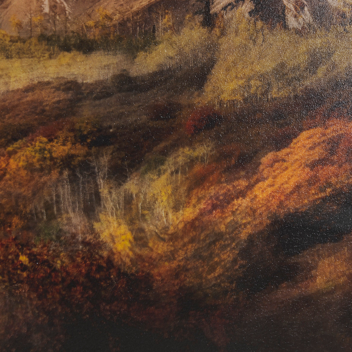 Peak Pursuit by Bobbie Goodrich a Hand Embellished Framed Photo Art Print Matted under Glass from Mercana - Luna Furniture