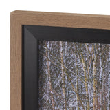 Riverside Reflection - Forest by Mikael Svensson a Framed Photo Art Print Matted under Glass from Mercana - Luna Furniture