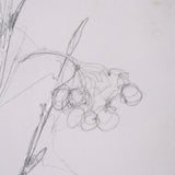 Chokecherry 1 by Mercana Studio a Hand Embellished Framed Art Print Matted under Glass from Mercana - Luna Furniture