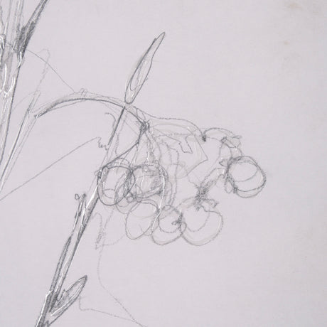 Chokecherry 1 by Mercana Studio a Hand Embellished Framed Art Print Matted under Glass from Mercana - Luna Furniture