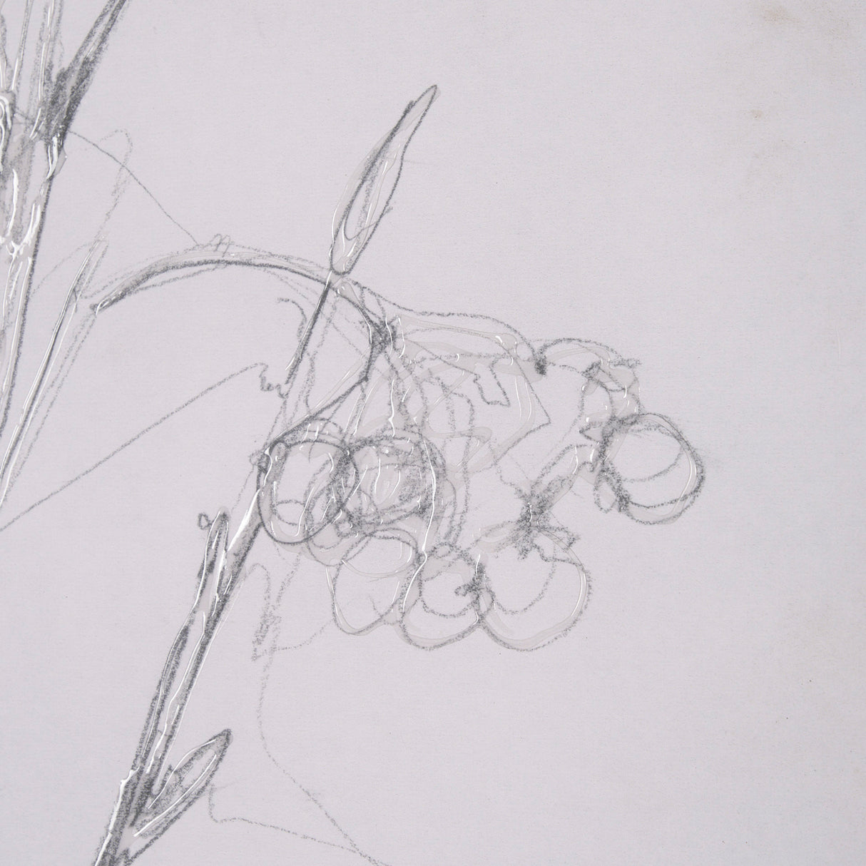 Chokecherry 2 by Mercana Studio a Hand Embellished Framed Art Print Matted under Glass from Mercana - Luna Furniture