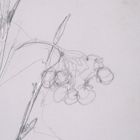Chokecherry 2 by Mercana Studio a Hand Embellished Framed Art Print Matted under Glass from Mercana - Luna Furniture
