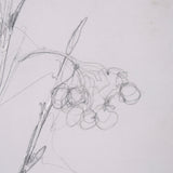 Chokecherry 3 by Mercana Studio a Hand Embellished Framed Art Print Matted under Glass from Mercana - Luna Furniture