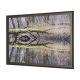 Branchscape Moss - Reflect by Mikael Svensson a Framed Photo Art Print Matted under Glass from Mercana - Luna Furniture