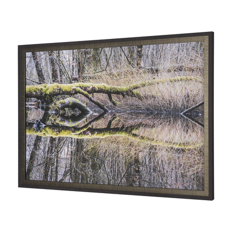 Branchscape Moss - Reflect by Mikael Svensson a Framed Photo Art Print Matted under Glass from Mercana - Luna Furniture