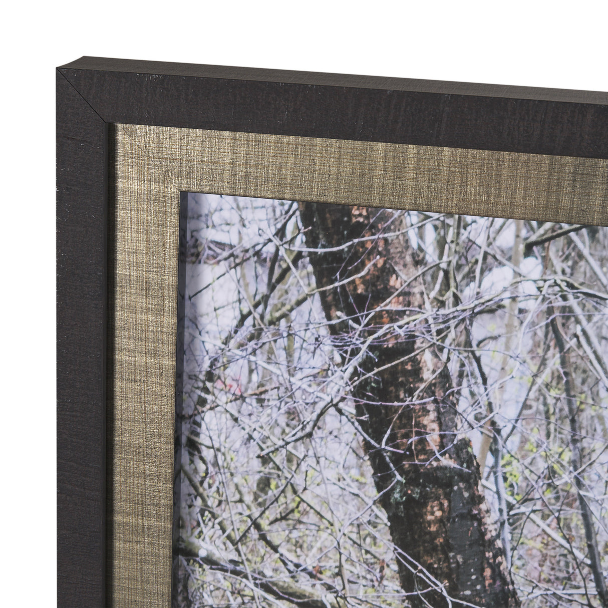 Branchscape Moss - Reflect by Mikael Svensson a Framed Photo Art Print Matted under Glass from Mercana - Luna Furniture