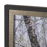 Branchscape Moss - Reflect by Mikael Svensson a Framed Photo Art Print Matted under Glass from Mercana - Luna Furniture
