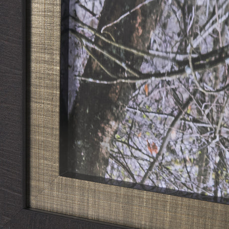 Branchscape Moss - Reflect by Mikael Svensson a Framed Photo Art Print Matted under Glass from Mercana - Luna Furniture
