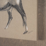 African Animal Study II by Mercana Studio a Hand Embellished Framed Art Print from Mercana - Luna Furniture