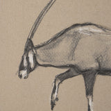 African Animal Study II by Mercana Studio a Hand Embellished Framed Art Print from Mercana - Luna Furniture