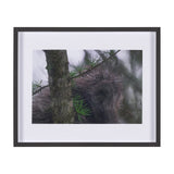 Porcupine Visit by Chad Mackay a Hand Embellished Framed Photo Art Print Matted under Glass from Mercana - Luna Furniture