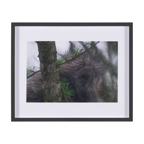 Porcupine Visit by Chad Mackay a Hand Embellished Framed Photo Art Print Matted under Glass from Mercana - Luna Furniture