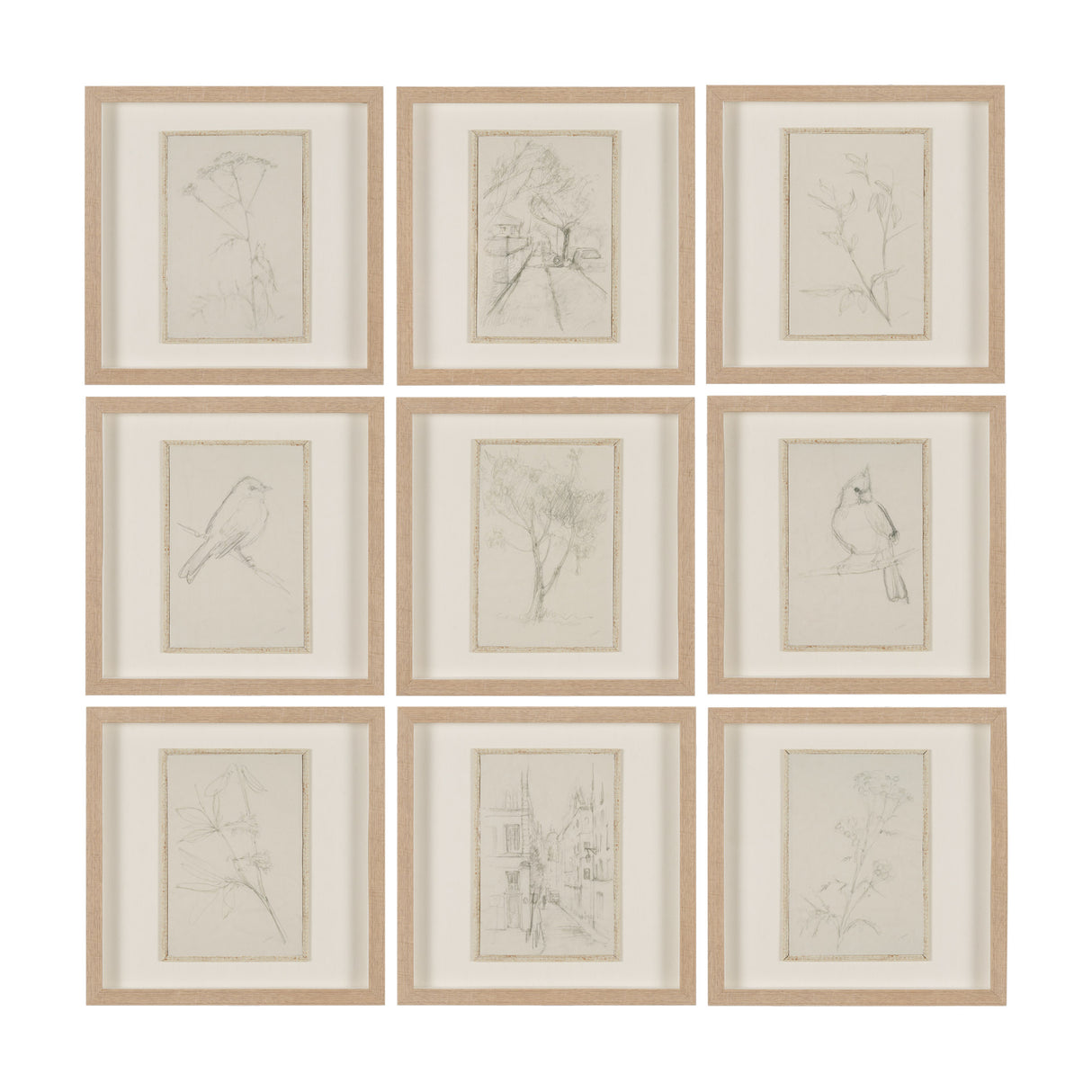 Sketch Collection (Set of 9) by Mercana Studio a Hand Embellished Framed Art Print Matted under Glas from Mercana - Luna Furniture