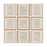 Sketch Collection (Set of 9) by Mercana Studio a Hand Embellished Framed Art Print Matted under Glas from Mercana - Luna Furniture