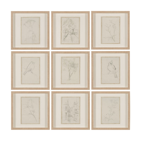 Sketch Collection (Set of 9) by Mercana Studio a Hand Embellished Framed Art Print Matted under Glas from Mercana - Luna Furniture
