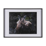 Cautious Gaze by Chad Mackay a Hand Embellished Framed Photo Art Print Matted under Glass from Mercana - Luna Furniture