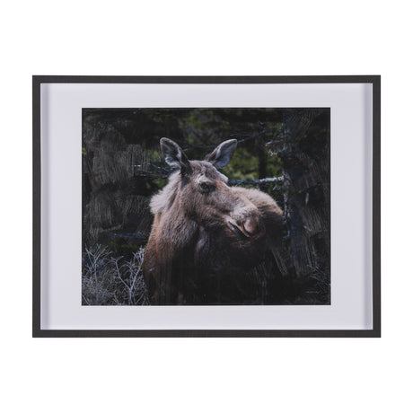 Cautious Gaze by Chad Mackay a Hand Embellished Framed Photo Art Print Matted under Glass from Mercana - Luna Furniture