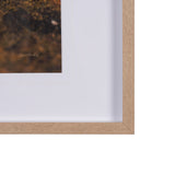 Fogo Island by Chad Mackay a Hand Embellished Framed Photo Art Print Matted under Glass from Mercana - Luna Furniture