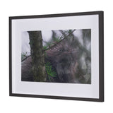 Porcupine Visit by Chad Mackay a Hand Embellished Framed Photo Art Print Matted under Glass from Mercana - Luna Furniture