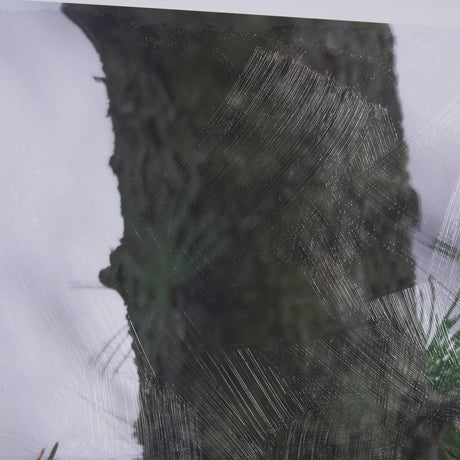 Porcupine Visit by Chad Mackay a Hand Embellished Framed Photo Art Print Matted under Glass from Mercana - Luna Furniture
