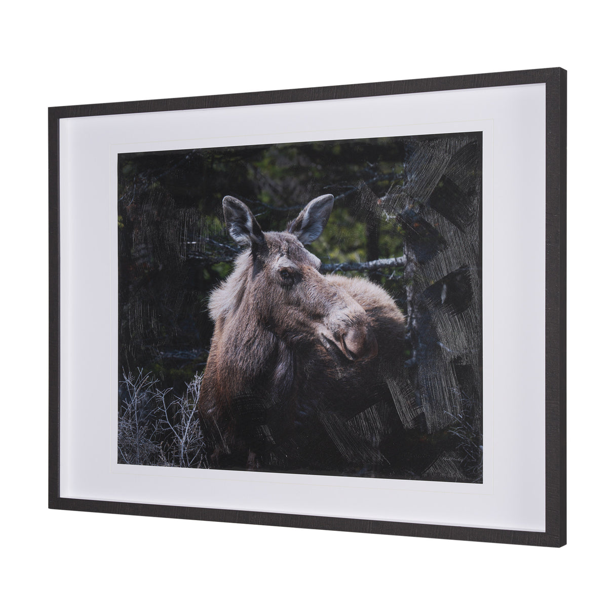 Cautious Gaze by Chad Mackay a Hand Embellished Framed Photo Art Print Matted under Glass from Mercana - Luna Furniture