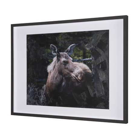 Cautious Gaze by Chad Mackay a Hand Embellished Framed Photo Art Print Matted under Glass from Mercana - Luna Furniture