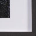 Cautious Gaze by Chad Mackay a Hand Embellished Framed Photo Art Print Matted under Glass from Mercana - Luna Furniture